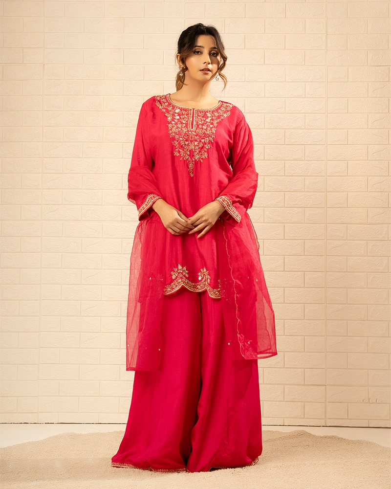 Gulnaar Crepe Rani Colour Sharara Set